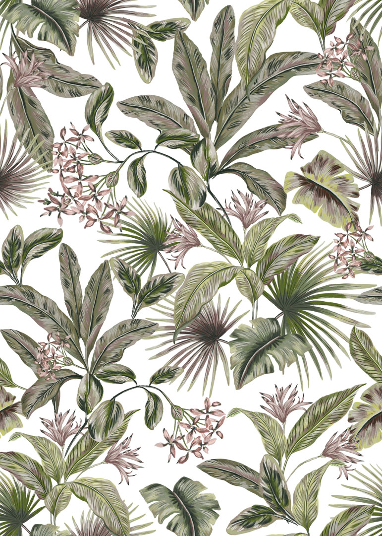 Papel de Parede   BOTÂNICA  81277