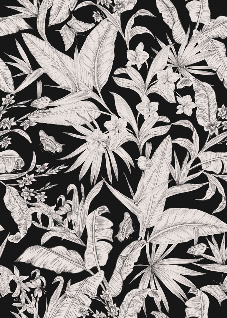 Papel de Parede   BOTÂNICA  81475