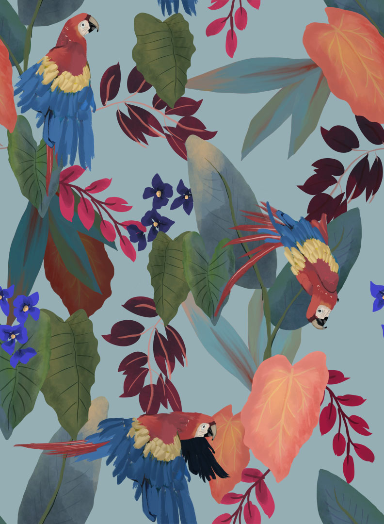 Papel de Parede   BOTÂNICA  81581