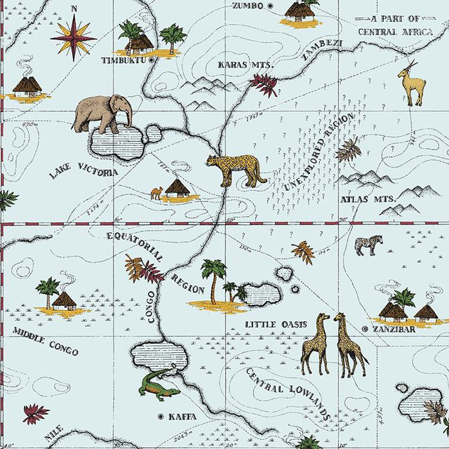 Papel de Parede DZMD-9093 Mapa Safari