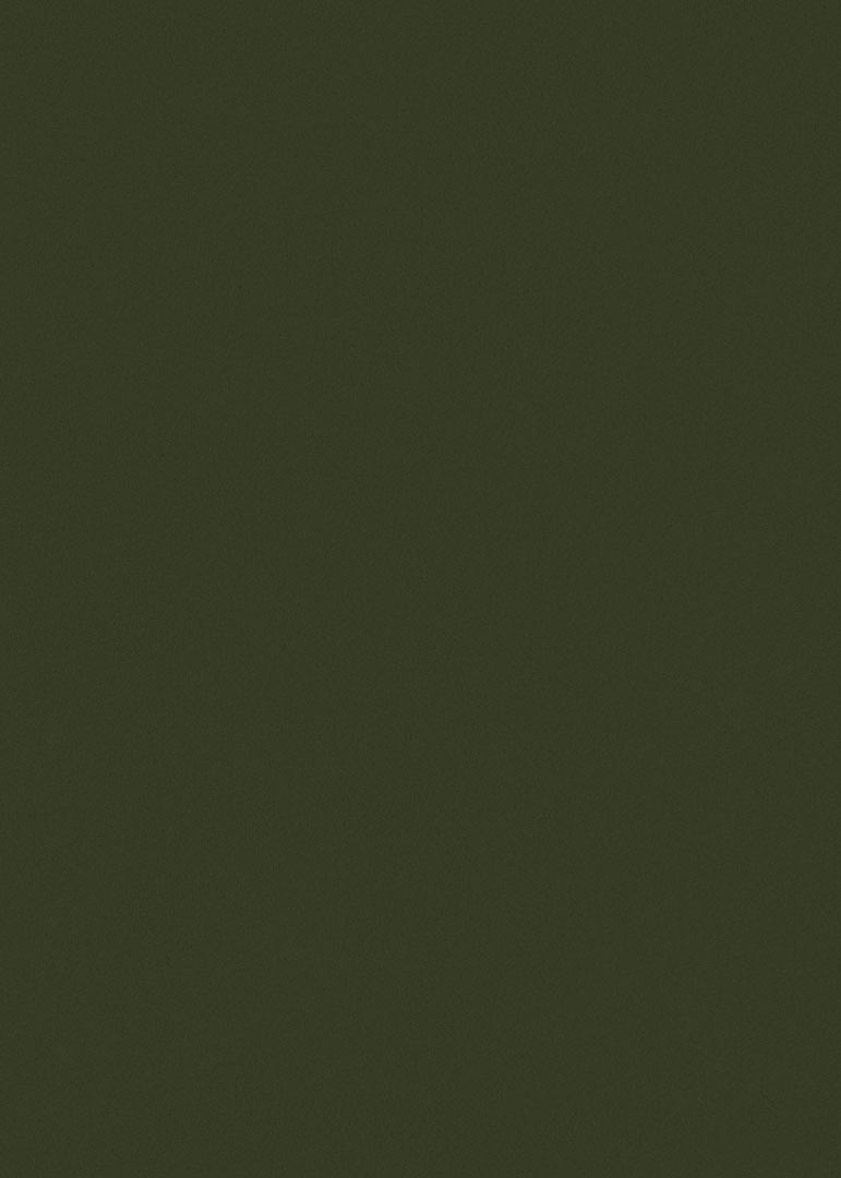 Papel de Parede   FLORA Botânica Tropical Chic 84407