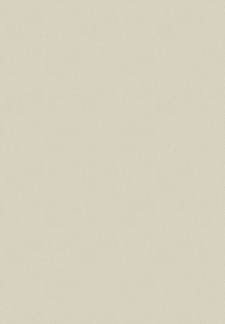 Papel de Parede   FLORA Botânica Tropical Chic 84582