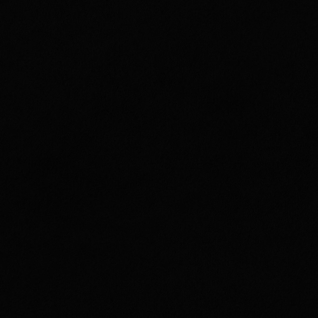 Papel de Parede   FLORA Botânica Tropical Chic 84650