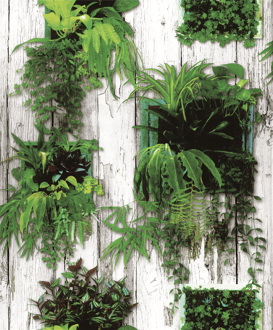 Papel de Parede Seven DZSV001172