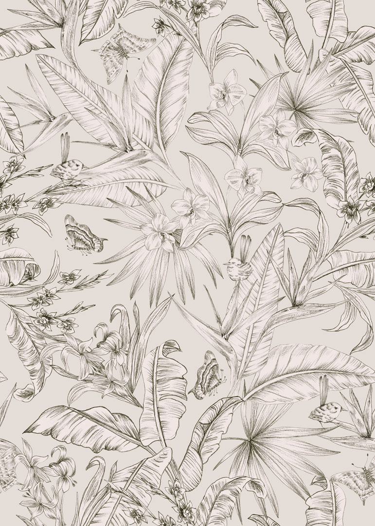 Papel de Parede   BOTÂNICA  81406