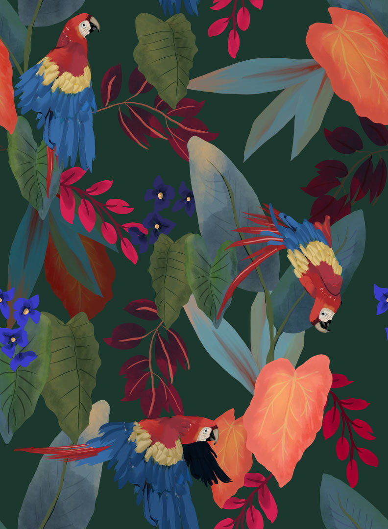 Papel de Parede   BOTÂNICA  81628