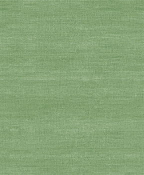 Papel de Parede Cores e Cenários  DZCC-001014 Liso