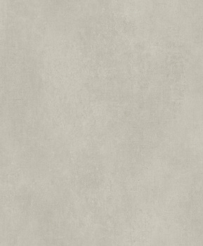 Papel de Parede Cores e Cenários  DZCC-977406 Cimento