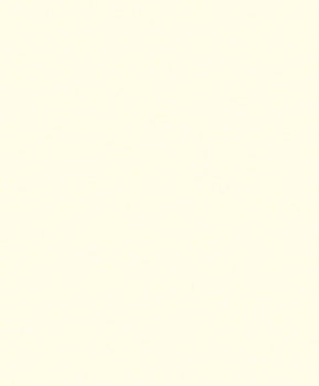 Papel de Parede DZMD-01054 Textura