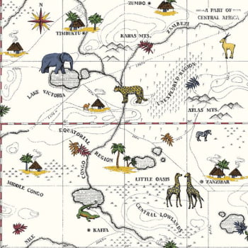 Papel de Parede DZMD-9091 Mapa Safari