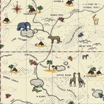 Papel de Parede DZMD-9092 Mapa Safari