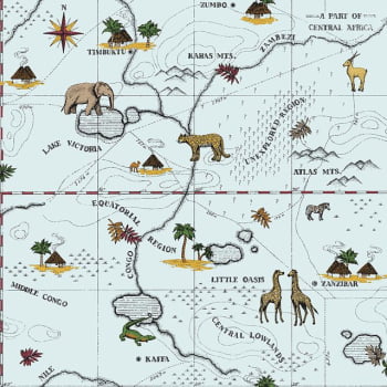 Papel de Parede DZMD-9093 Mapa Safari