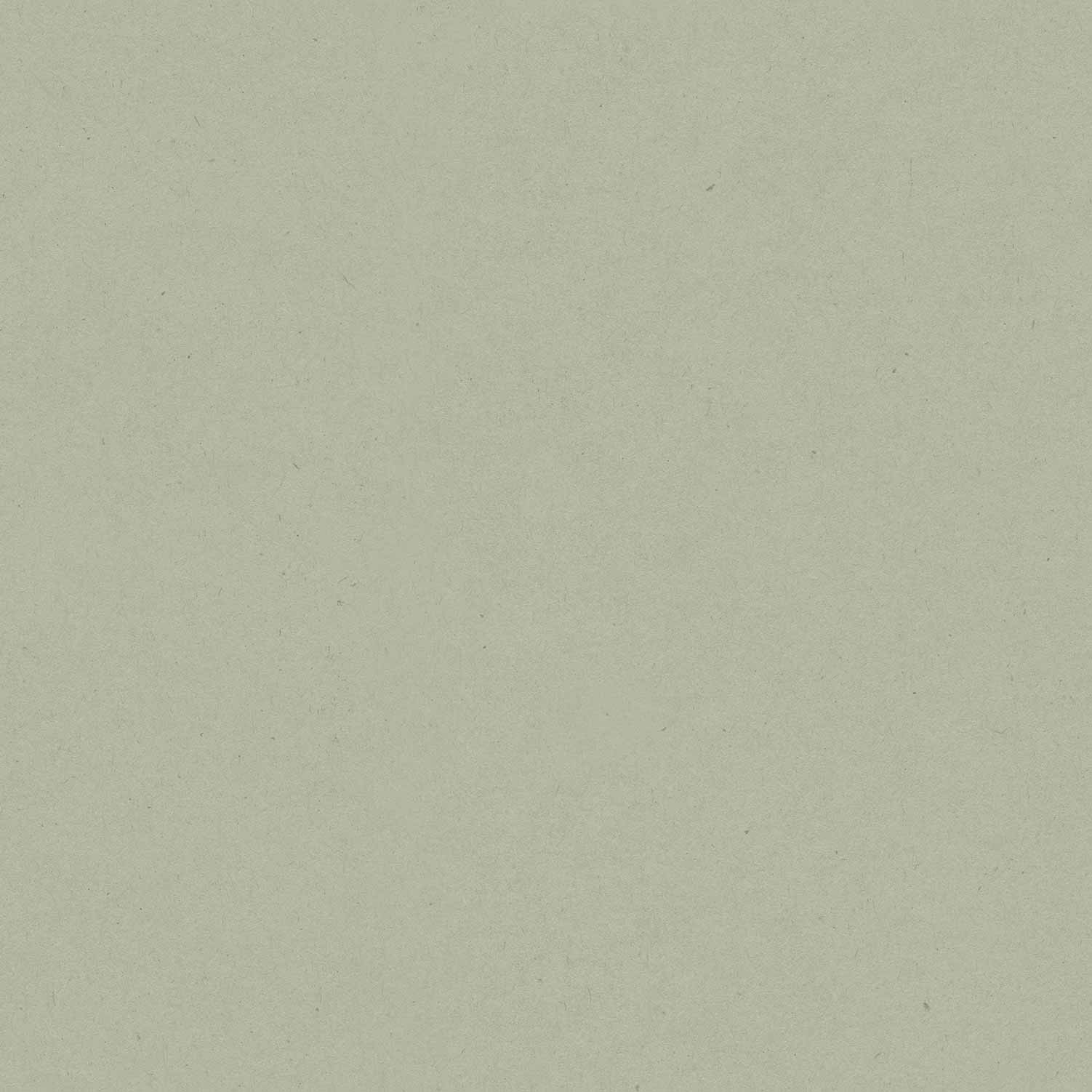 Papel de parede  MiniMe 17195