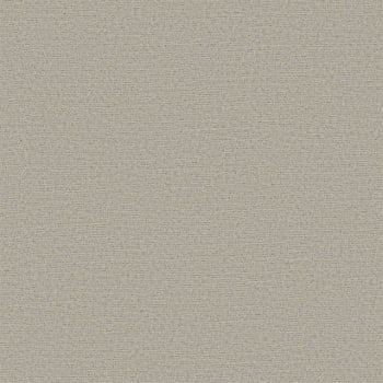 Papel de Parede Textura DZENL-1001