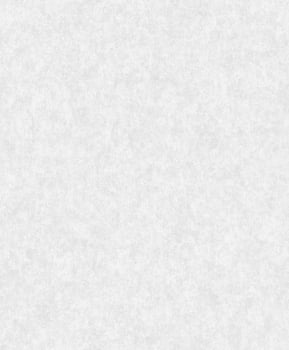 Papel de Parede Tóquio TOQ-MA1064