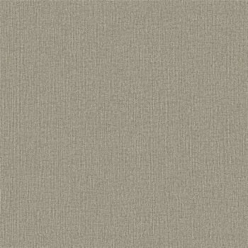 Papel de Parede WINTER  DZWI-209 Textura