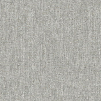 Papel de Parede WINTER  DZWI-210 Textura