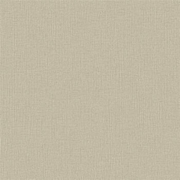 Papel de Parede WINTER  DZWI-216 Textura