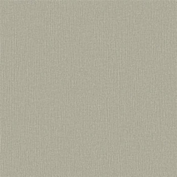 Papel de Parede WINTER  DZWI-219 Textura