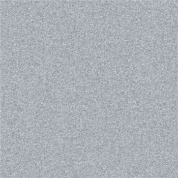 Papel de Parede WINTER  DZWI-603 Textura