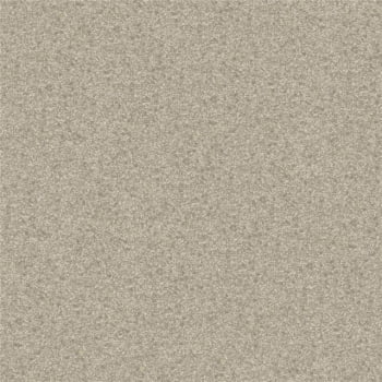 Papel de Parede WINTER  DZWI-607 Textura