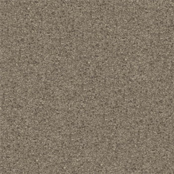 Papel de Parede WINTER  DZWI-608 Textura