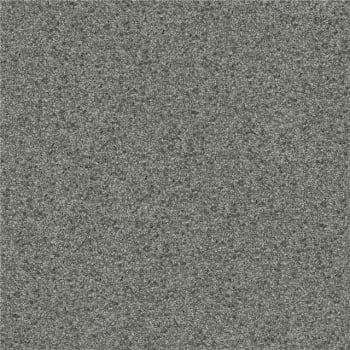 Papel de Parede WINTER  DZWI-622 Textura Mica
