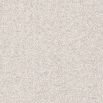 Papel de Parede WINTER  DZWI-974206 Textura